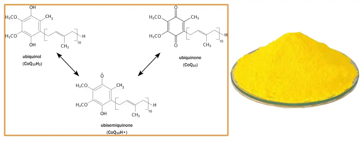 Coenzyme Q10 Factory.jpg